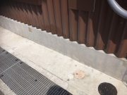 外壁モルタル 清掃 作業後