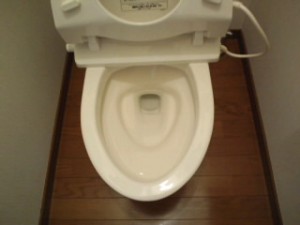 兵庫県三田市　ハウスクリーニング　トイレ清掃03