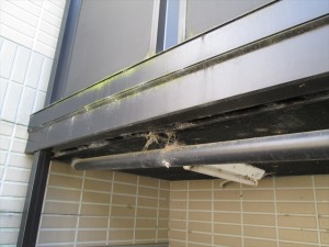 大阪　日常清掃　クモの巣の除去01